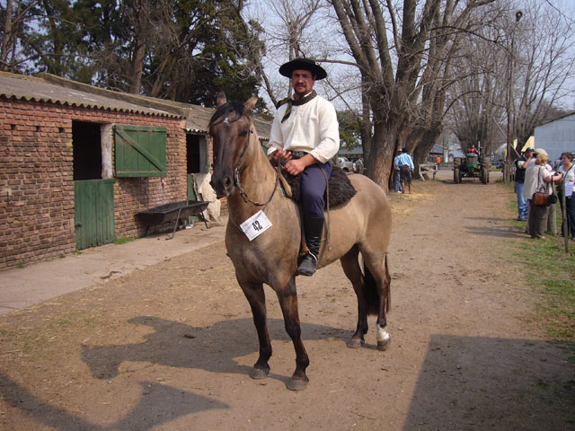 LAQUES GAVILAN
