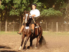 LAQUES LINYERA