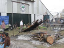 Exposici�n de Caballos Criollos Chascomus 2010