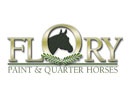 Flory Paint and Quarter Horses