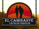 Cabanha El Caminante Cavalos Crioulos Guaiba Rio Grande do Sul