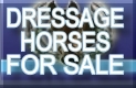 Dressage Horses for Sale