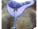 Bareback pads