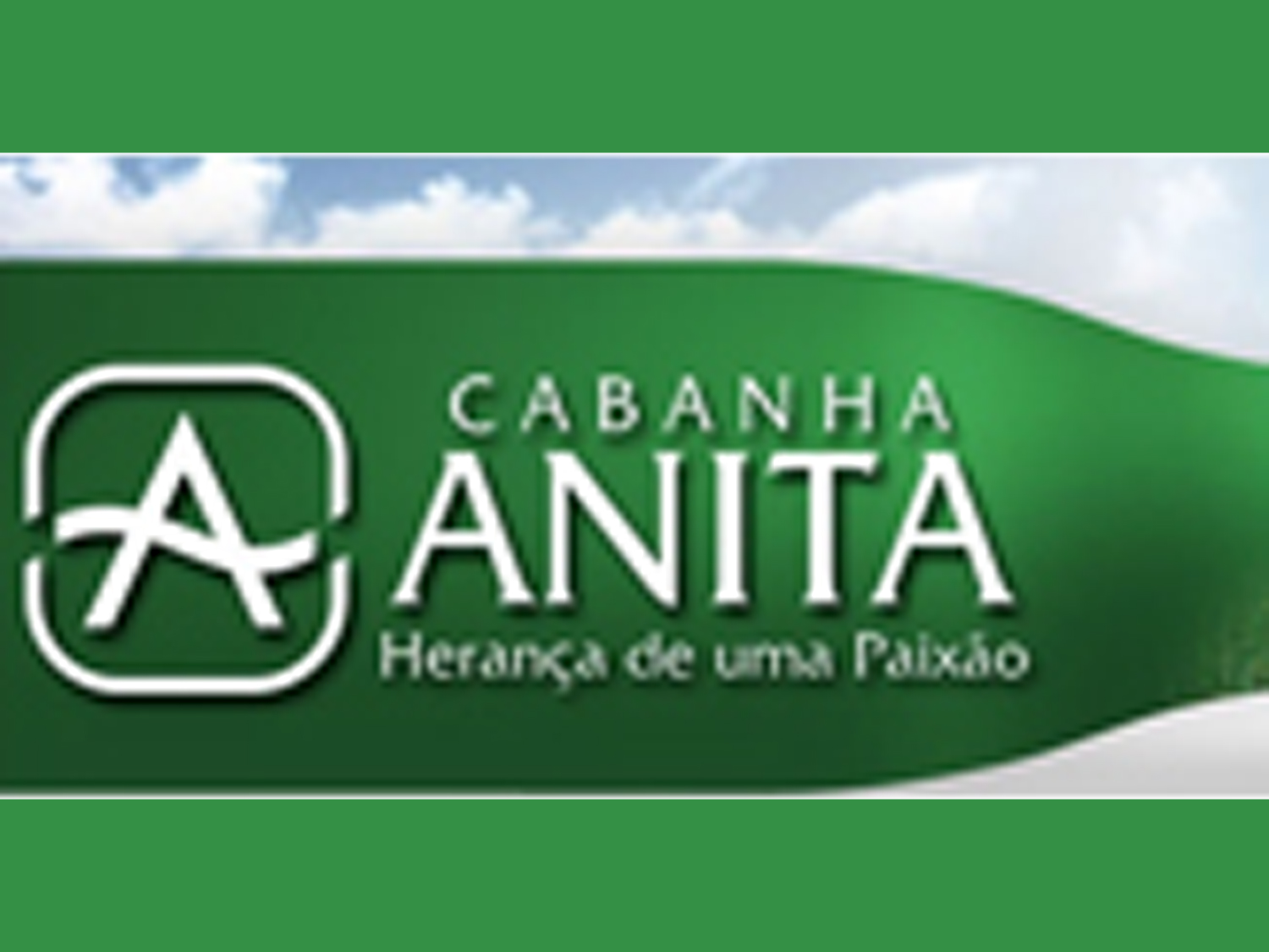 Cabanha Anita Cavalos Crioulos Campo Comprido Rio Grande do Sul