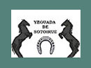 Yeguada Soto Iruz Pura Raza Menorquina
