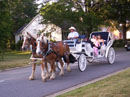 Parlier Carriages and Horse Transportation