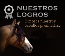 Nuestros logros