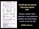 AIE Anemia infecciosa equina