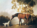 Pinturas con caballos (selecci�n de la web)